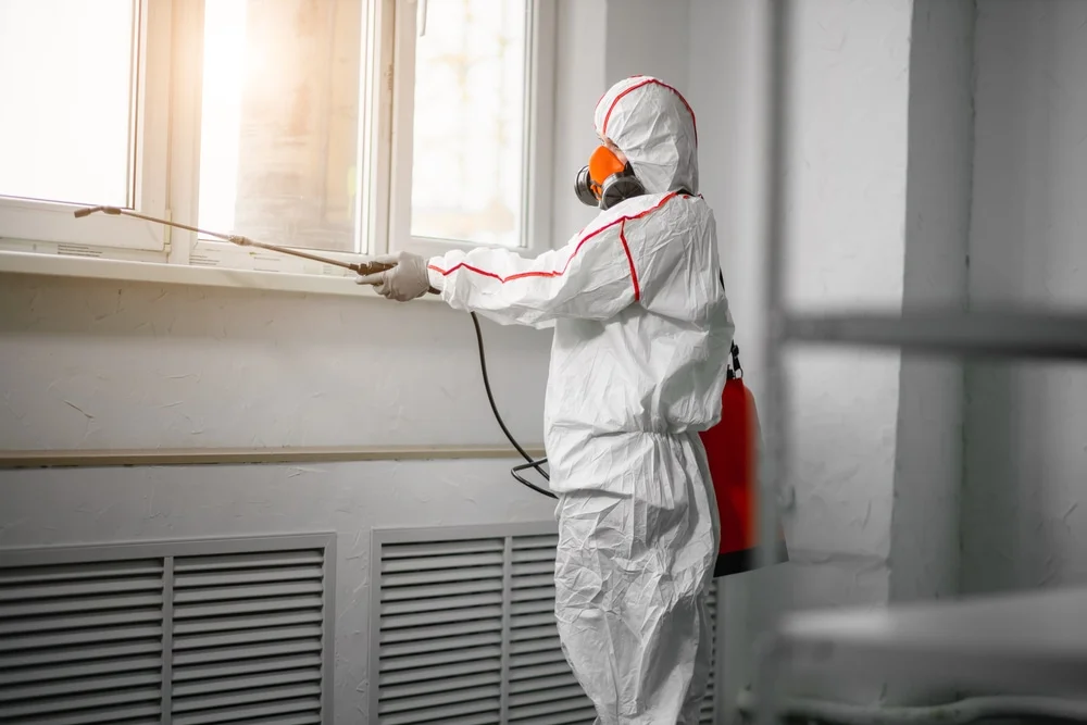 Professional mold remediation services in Twin Mountain, NH